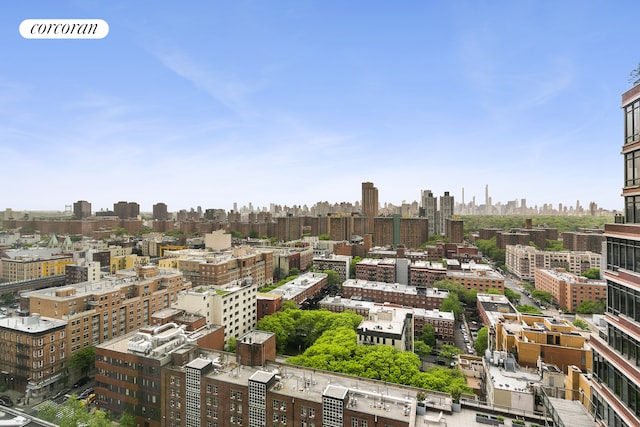 1485 5th Ave Unit 19C, New York City, NY 10035 - view of city skyline