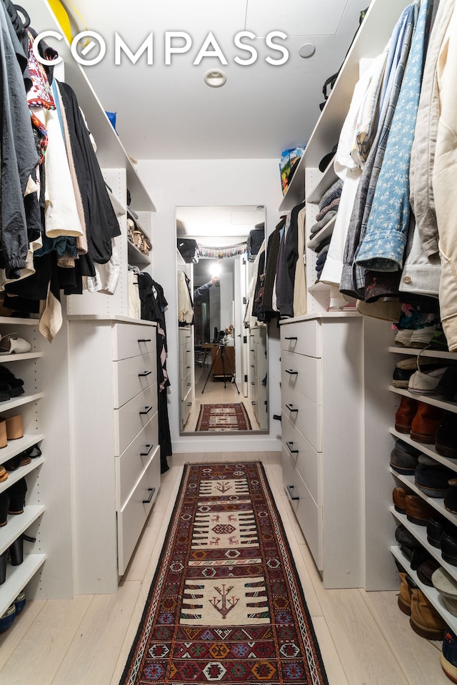 856 Washington Ave Unit 5A, New York City, NY 11238 - view of spacious closet