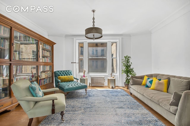800 Riverside Dr Unit 2E, New York City, NY 10032 - living area with radiator heating unit, wood finished floors, and ornamental molding
