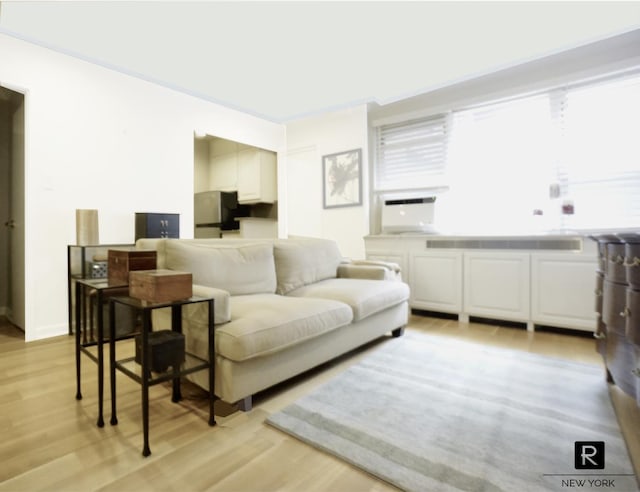 233 E 69th St Unit 3-O, New York City, NY 10021 - living room featuring light wood-type flooring