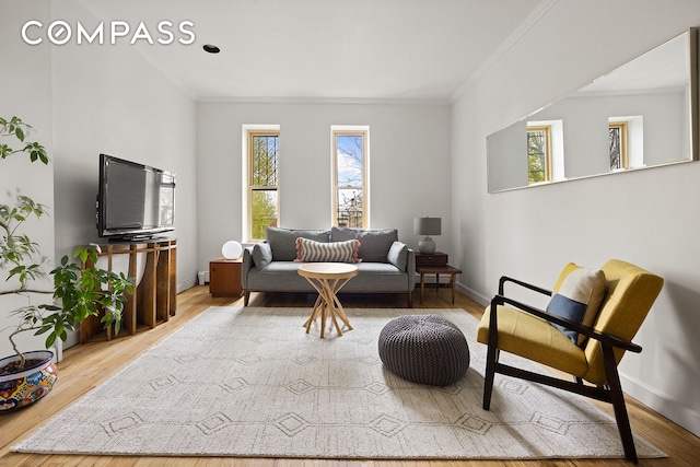 491 12th St Unit 2, New York City, NY 11215 - living room featuring ornamental molding, wood finished floors, and baseboards