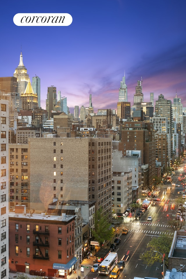 200 E 16th St Unit 14H, New York City, NY 10003 - view of city skyline