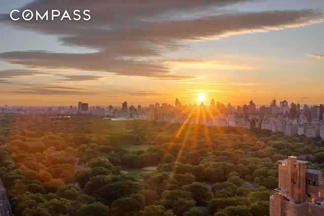 301 W 57th St Unit 36C, New York City, NY 10019 - view of local wilderness featuring skyline