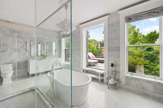 146 St Johns Place, New York City, NY 11217 - full bathroom featuring tile walls, a freestanding bath, toilet, a stall shower, and vanity
