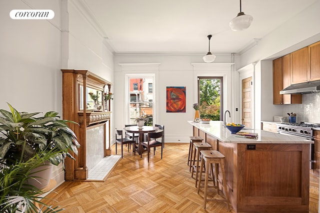 151 Herkimer St, New York City, NY 11216 - kitchen featuring under cabinet range hood, high end stainless steel range oven, decorative backsplash, a premium fireplace, and ornamental molding