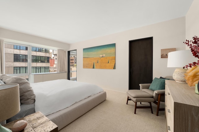 231 10th Ave Unit 5A, New York City, NY 10011 - bedroom featuring light carpet
