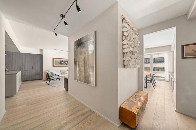 231 10th Ave Unit 5A, New York City, NY 10011 - hall with light wood-type flooring and rail lighting