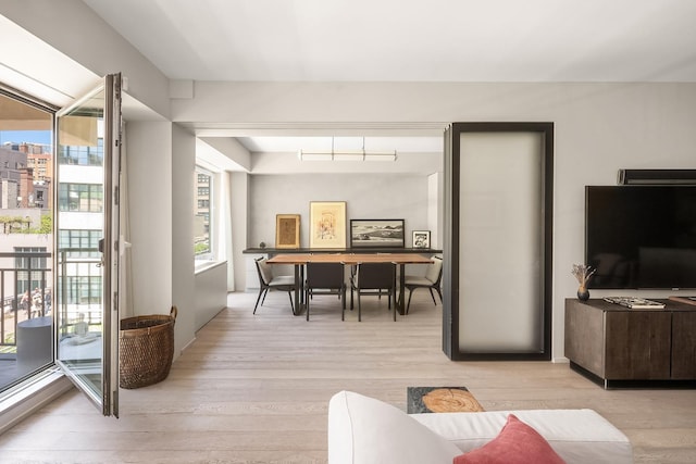 231 10th Ave Unit 5A, New York City, NY 10011 - living room featuring light wood-style flooring
