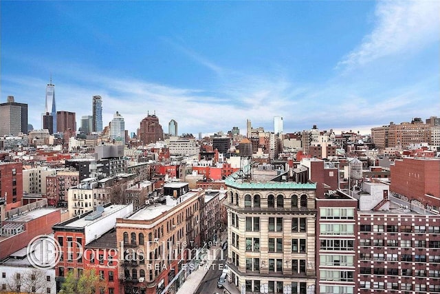 199 Bowery Unit 2D, New York City, NY 10003 - skyline view