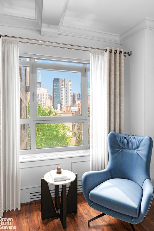 2 Beekman Pl Unit 5Ag, New York City, NY 10022 - sitting room with plenty of natural light, a city view, crown molding, and wood finished floors