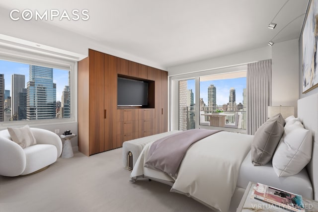 303 E 57th St Unit 33Ef, New York City, NY 10022 - bedroom featuring access to exterior, wooden walls, and light carpet