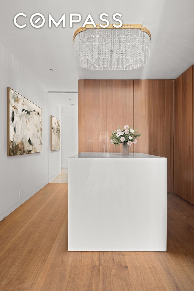 303 E 57th St Unit 33Ef, New York City, NY 10022 - hall with light wood finished floors and baseboards