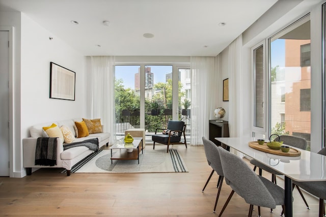 128 Woodpoint Rd Unit 2, New York City, NY 11211 - living area with plenty of natural light and wood finished floors