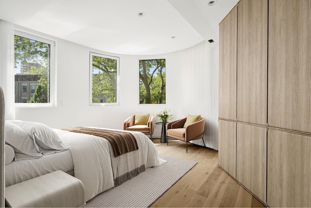 128 Woodpoint Rd Unit 2, New York City, NY 11211 - bedroom featuring multiple windows and light wood-style flooring