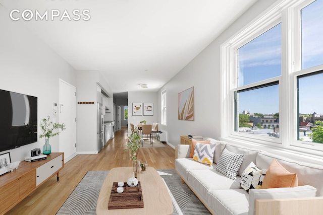 195 Hawthorne St Unit 5E, New York City, NY 11225 - living room with light wood-style flooring, plenty of natural light, and baseboards