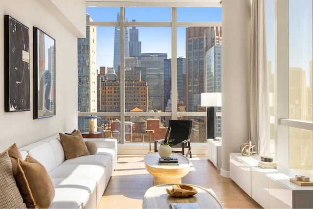 400 Park Ave S Unit 26C, New York City, NY 10016 - living room with a skyline view and light wood-style floors