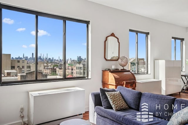 1610 Dekalb Ave Unit 5A, New York City, NY 11237 - living area featuring wood finished floors, radiator heating unit, and a view of skyline