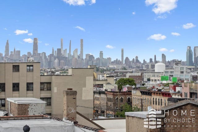 1610 Dekalb Ave Unit 5A, New York City, NY 11237 - skyline view