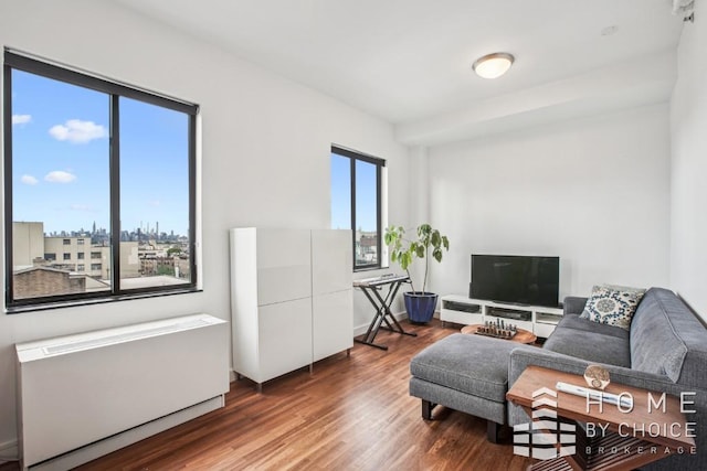 1610 Dekalb Ave Unit 5A, New York City, NY 11237 - living room with radiator and wood finished floors