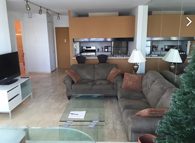 350 Albany St Unit 12-C, New York City, NY 10280 - living area featuring rail lighting