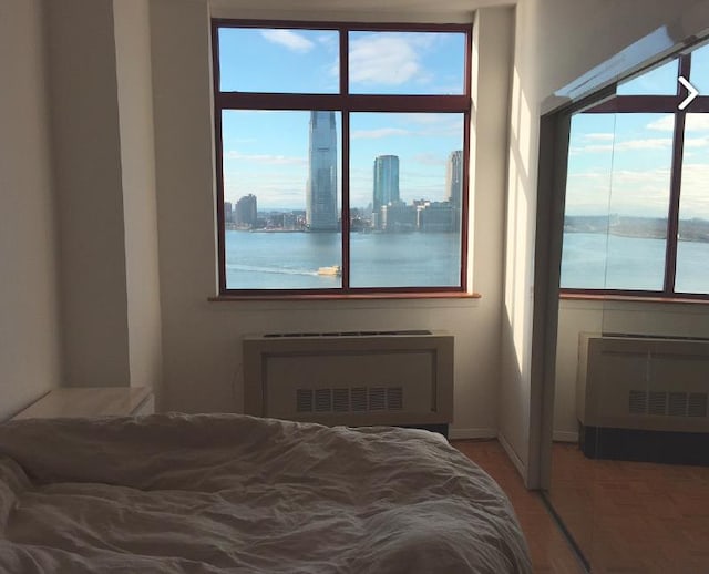 350 Albany St Unit 12-C, New York City, NY 10280 - bedroom with radiator heating unit, a city view, wood finished floors, and a water view