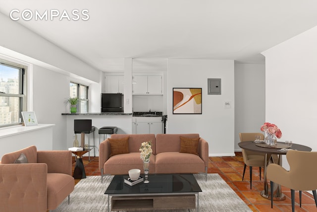 609 Columbus Ave Unit 14E, New York City, NY 10024 - living room with electric panel and baseboards