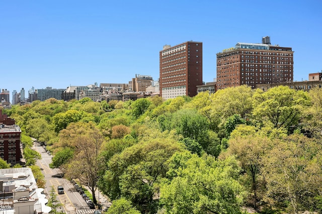 88 Morningside Ave Unit 12D, New York City, NY 10027 - view of city skyline