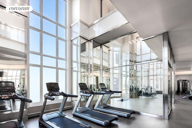 30 Park Pl Unit 60C, New York City, NY 10007 - workout area with a towering ceiling and a wall of windows