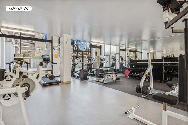 531 Main St Unit 1107, New York City, NY 10044 - view of workout area