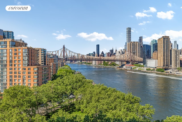 531 Main St Unit 1107, New York City, NY 10044 - water view with a notable bridge and city skyline