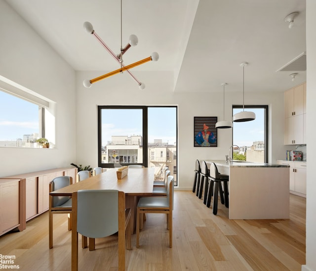 207 N 5th St Ph, Ph, New York City, NY 11211 - dining space with light wood finished floors, healthy amount of natural light, and a chandelier
