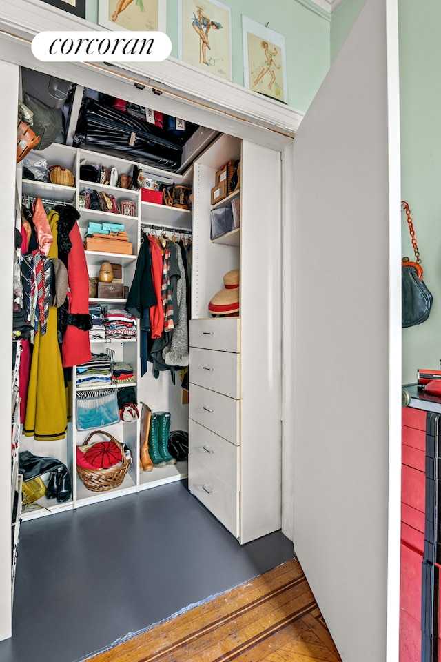 269 Clinton Ave Unit C1, New York City, NY 11205 - view of closet