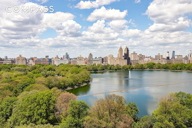 1049 5th Ave Unit Ph20, New York City, NY 10028 - water view featuring skyline