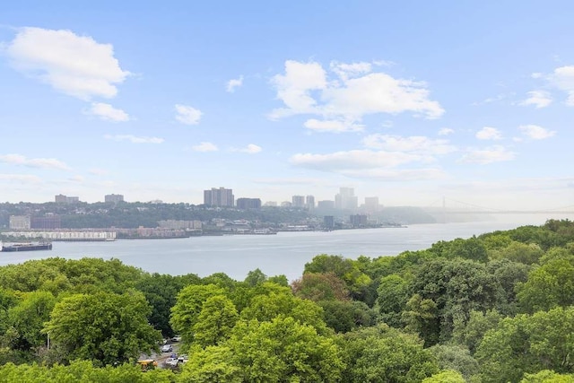 50 Riverside Dr Unit 10B, New York City, NY 10024 - water view with skyline