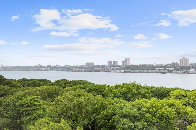 50 Riverside Dr Unit 10B, New York City, NY 10024 - water view with city skyline