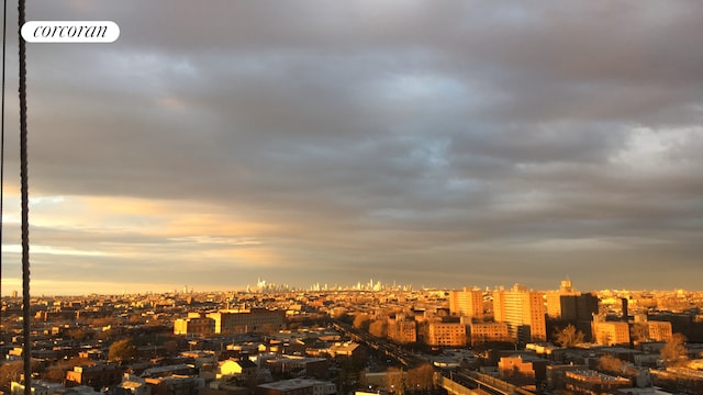 2483 W 16th St Unit 17E, New York City, NY 11214 - view of city
