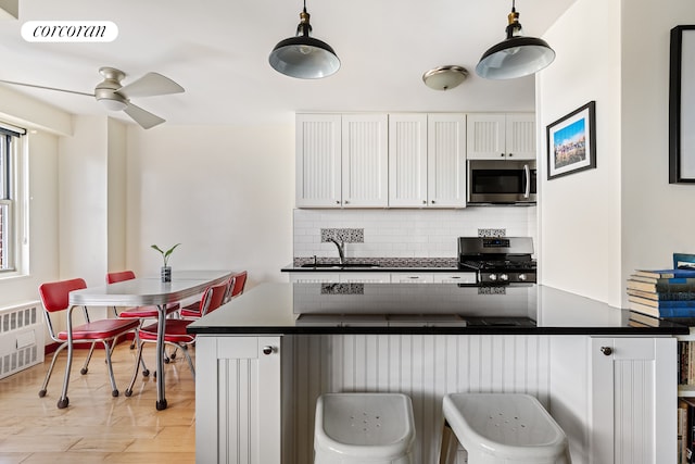 2483 W 16th St Unit 17E, New York City, NY 11214 - kitchen with stainless steel appliances, dark countertops, a sink, radiator heating unit, and tasteful backsplash