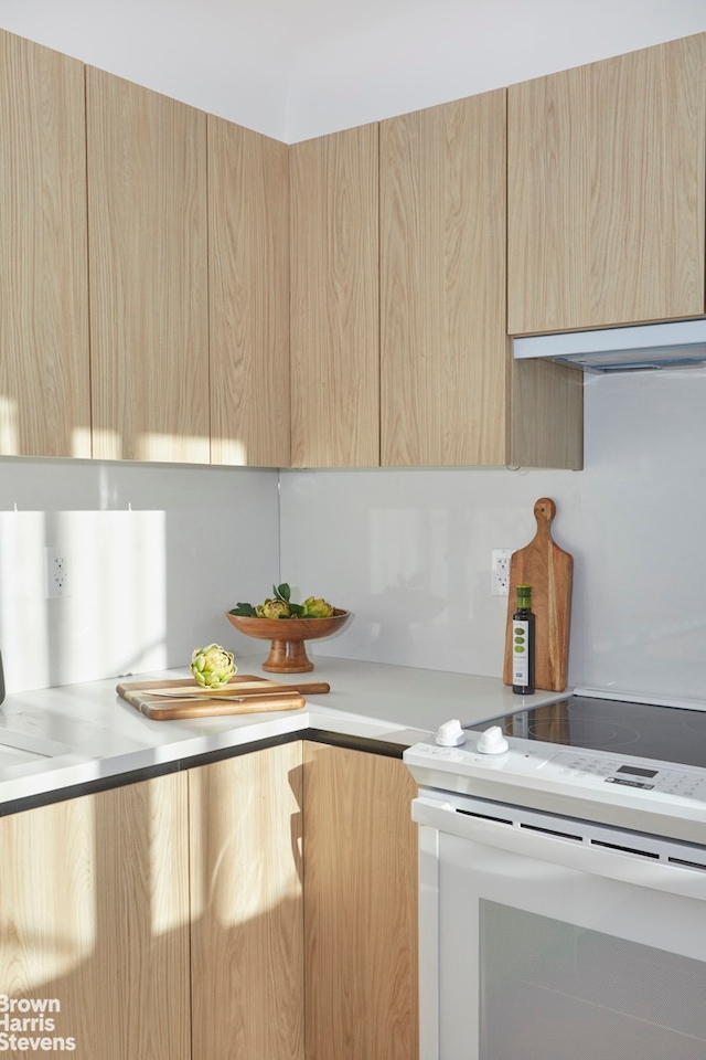 1807 66th St Unit 4C, New York City, NY 11204 - kitchen featuring light brown cabinets, white range with electric cooktop, modern cabinets, and light countertops
