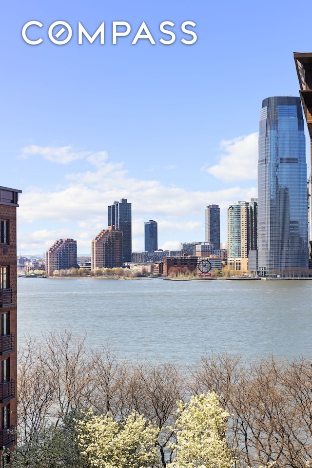 70 Little W St Unit 7L, New York City, NY 10004 - water view with city skyline