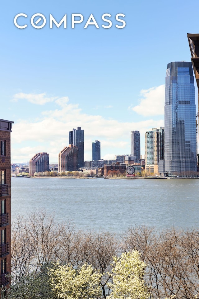 70 Little W St Unit 7L, New York City, NY 10004 - water view with city skyline