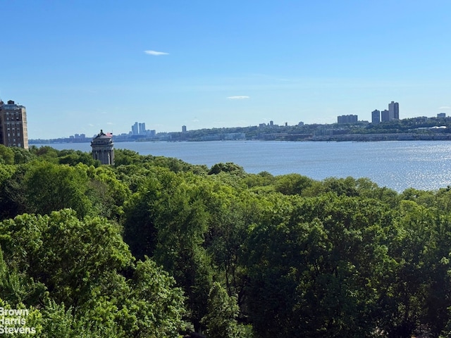 210 Riverside Dr Unit 10F, New York City, NY 10025 - water view with skyline