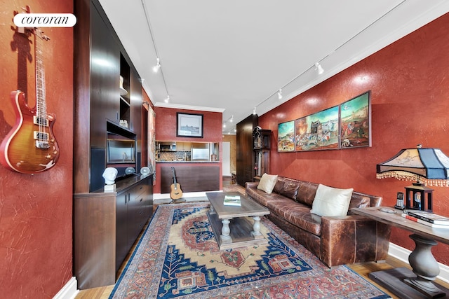 400 E 90th St Unit 8F, New York City, NY 10128 - living area featuring rail lighting, wood finished floors, baseboards, and ornamental molding