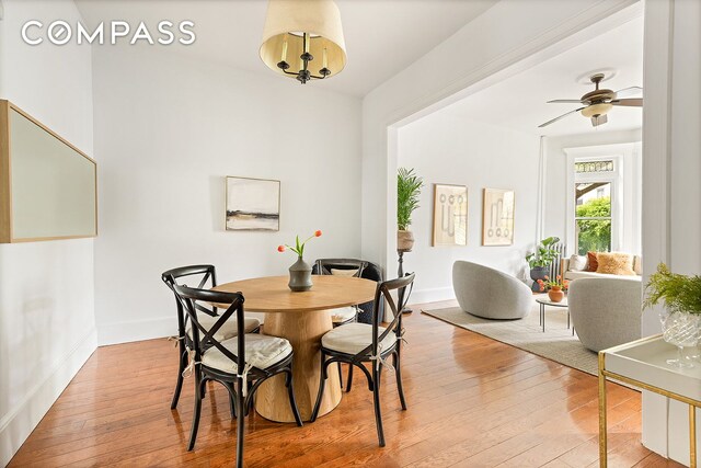203 Lefferts Ave, New York City, NY 11225 - dining room featuring light wood-style floors