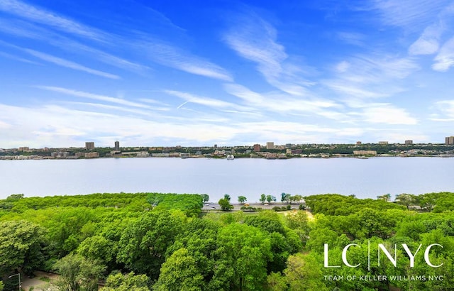 310 Riverside Dr Unit 1804, New York City, NY 10025 - water view