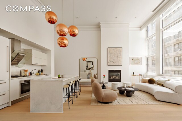 16 Warren St Unit 5, New York City, NY 10007 - living room featuring light wood-type flooring, a glass covered fireplace, a high ceiling, and crown molding
