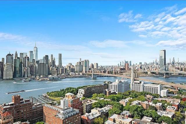 111 Hicks St Unit 5-Qr, New York City, NY 11201 - view of city skyline featuring a notable bridge and a nearby body of water