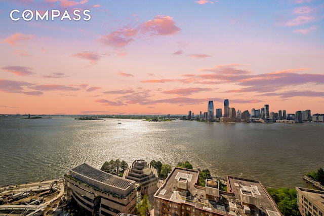 30 W St Unit 25G, New York City, NY 10004 - water view with city skyline