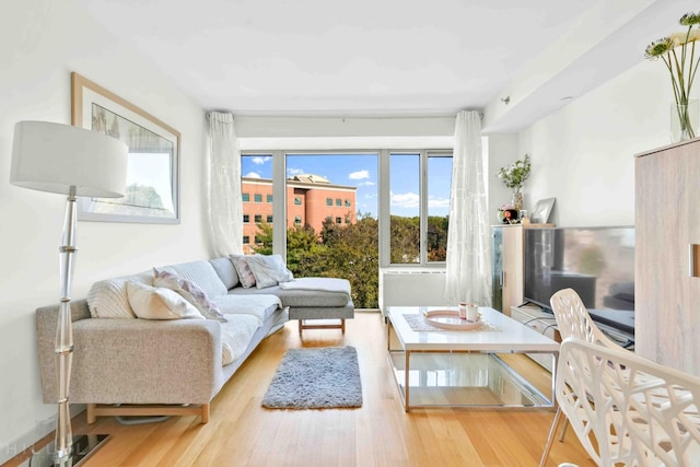 448 W 167th St Unit 4Ee, New York City, NY 10032 - living room with wood finished floors