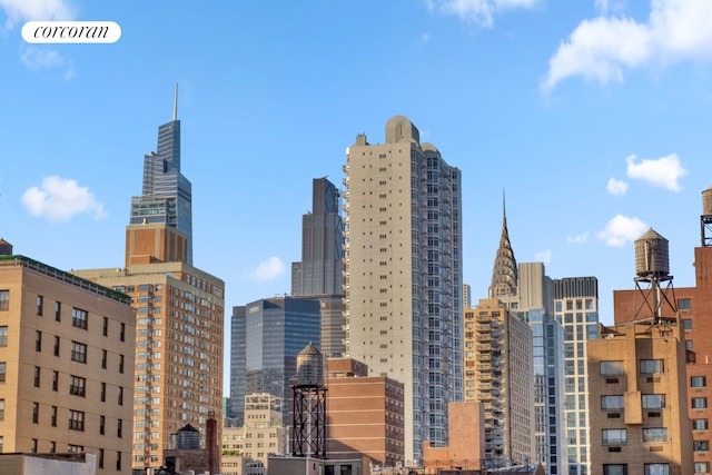 226 E 27th St Unit 5C, New York City, NY 10016 - view of city skyline
