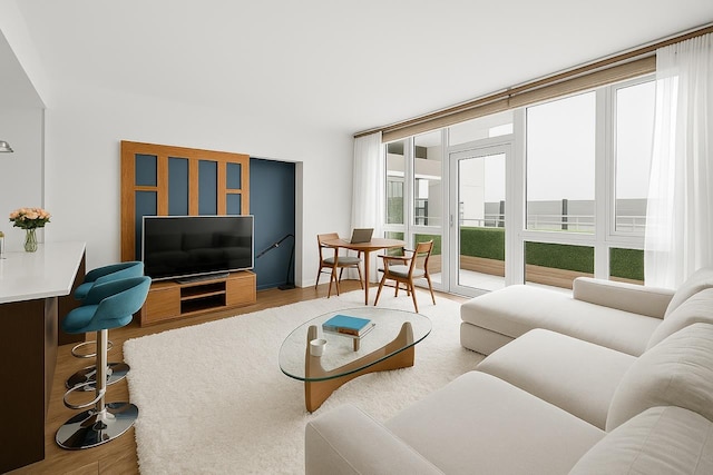 214 N 11th St Unit 1X, New York City, NY 11211 - living area featuring wood finished floors